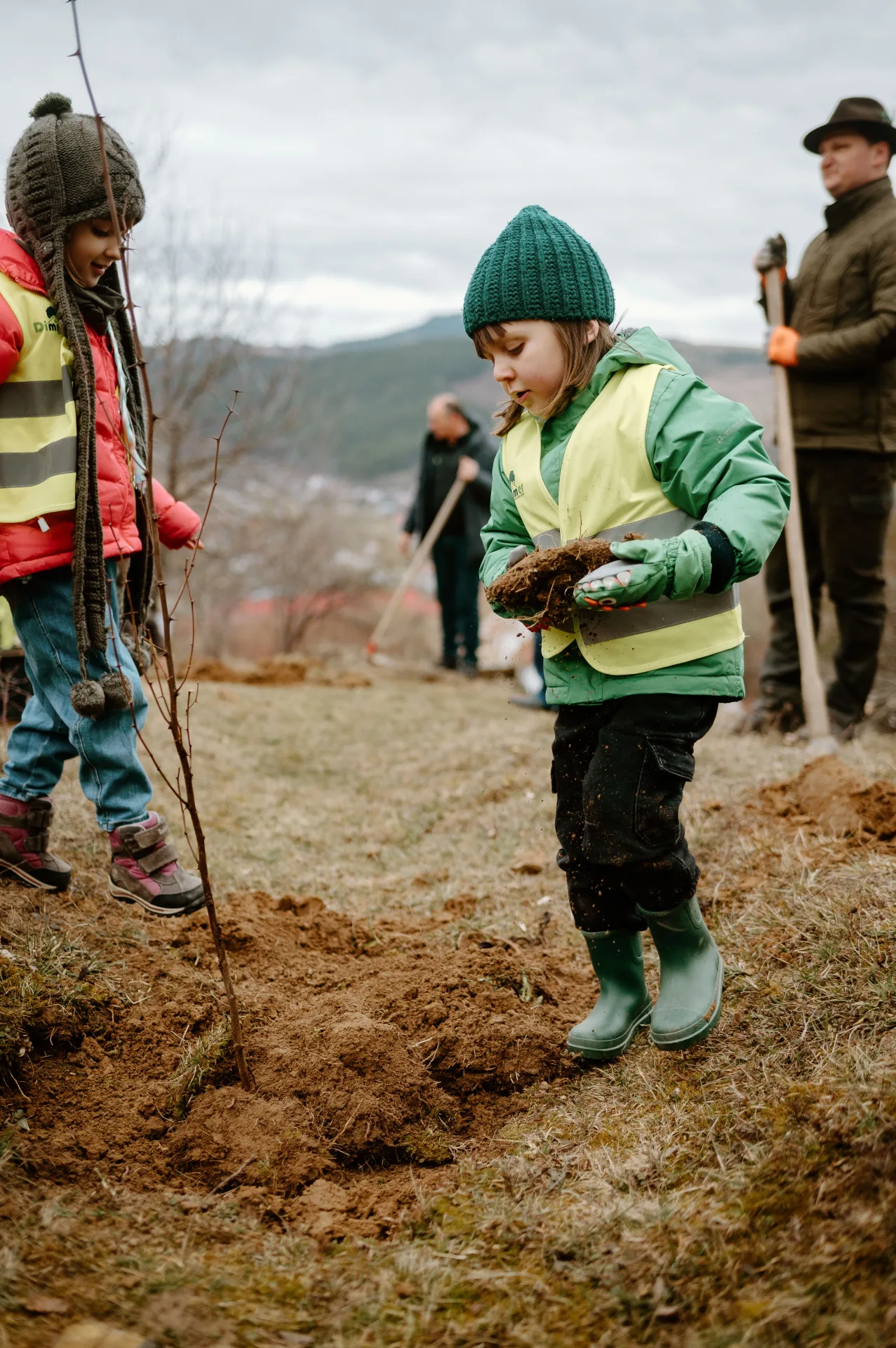 plantare în Moinesti